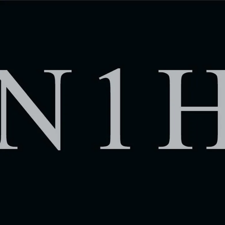 N1 HOLDINGS LIMITED logo
