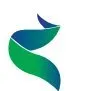 NUENERGY GAS LIMITED logo