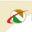 NEX METALS EXPLORATION LIMITED logo