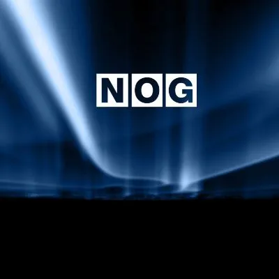 Northern Oil and Gas, Inc logo