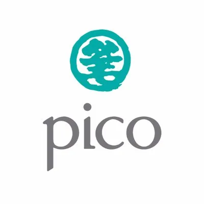 Pico Far East Holdings logo