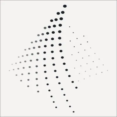 PINNACLE INVESTMENT MANAGEMENT GROUP LIMITED logo