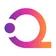 QSI logo
