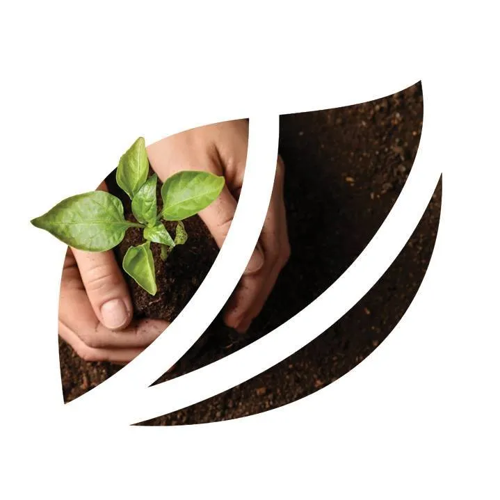 Suzano S.A logo