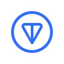 TON Strategy Company logo