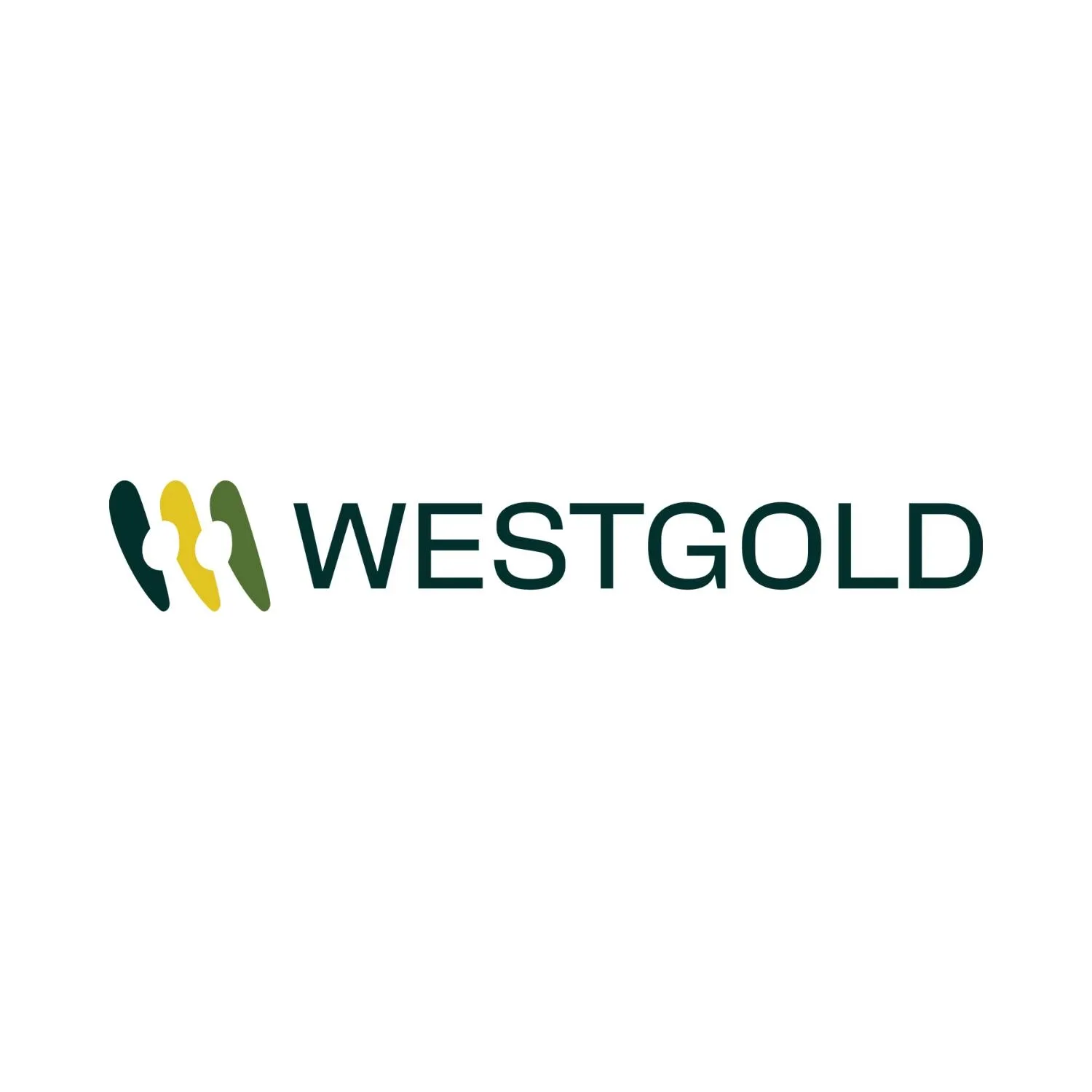 Westgold Resources Ltd Logo