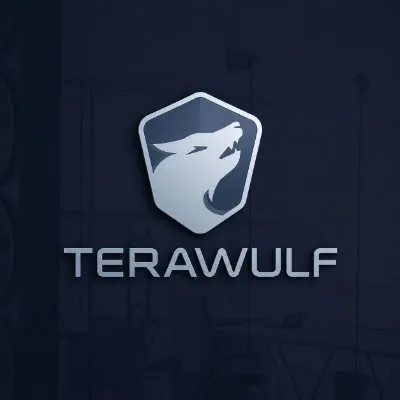 TERAWULF INC. logo