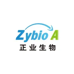 Zhengye Biotechnology Holding Logo