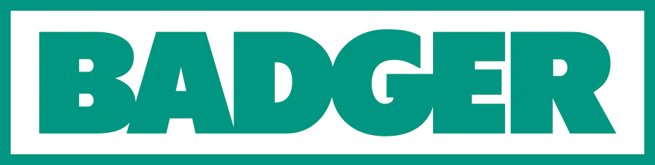Badger Infrastructure Solutions Ltd. logo