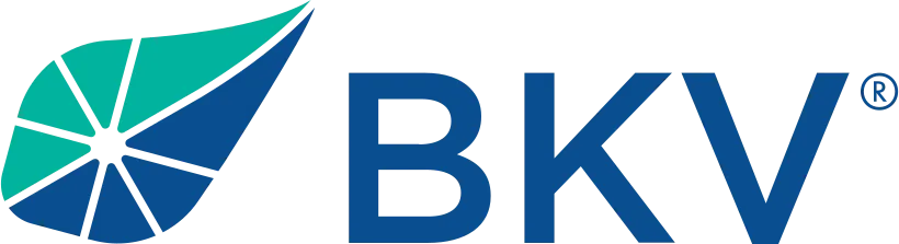 BKV Industries Ltd. logo