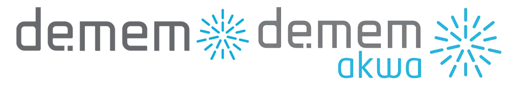 DE.MEM LIMITED logo