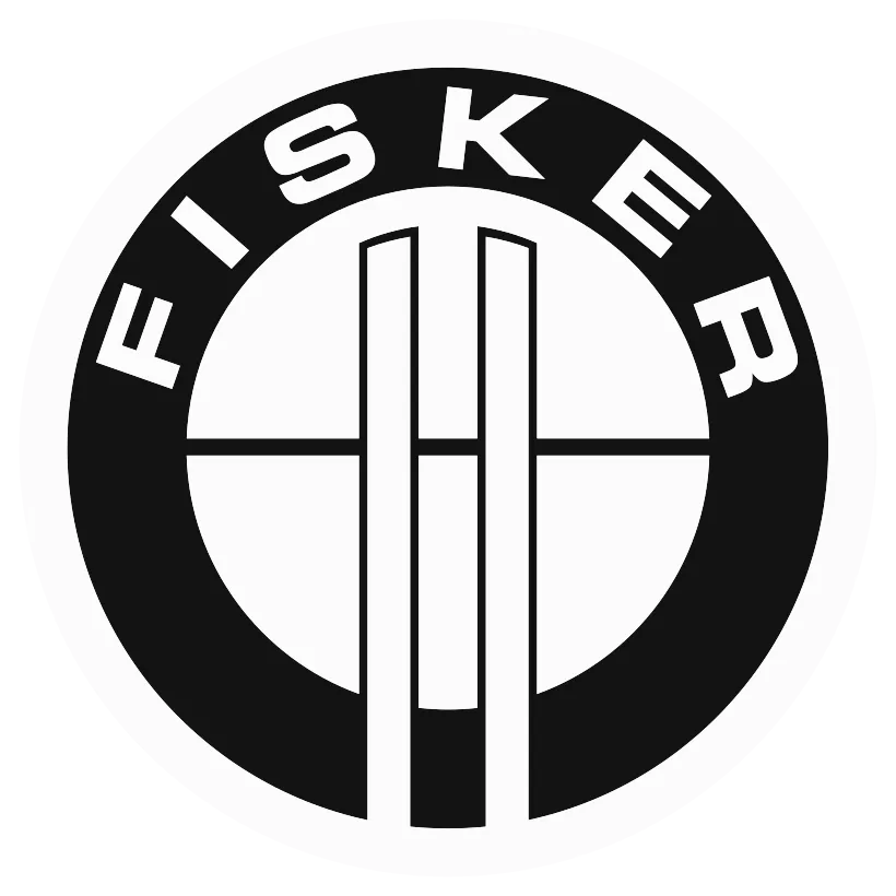 FIRSTRAND LIMITED logo