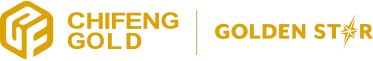 GSS Infotech Limited logo