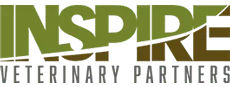 IVP Limited logo