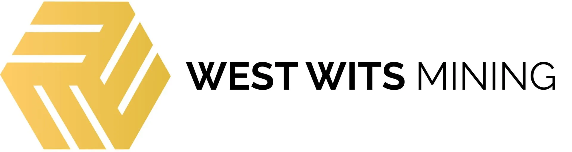 WEST WITS MINING LIMITED logo