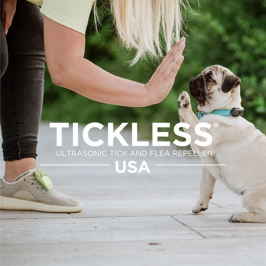 Ticklessusa