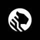 TigerData logo