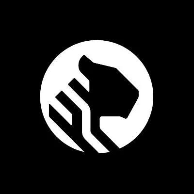 Tigerdata logo