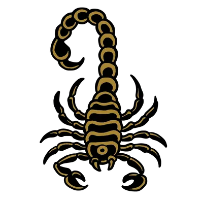 Timeless Coffee Roasters