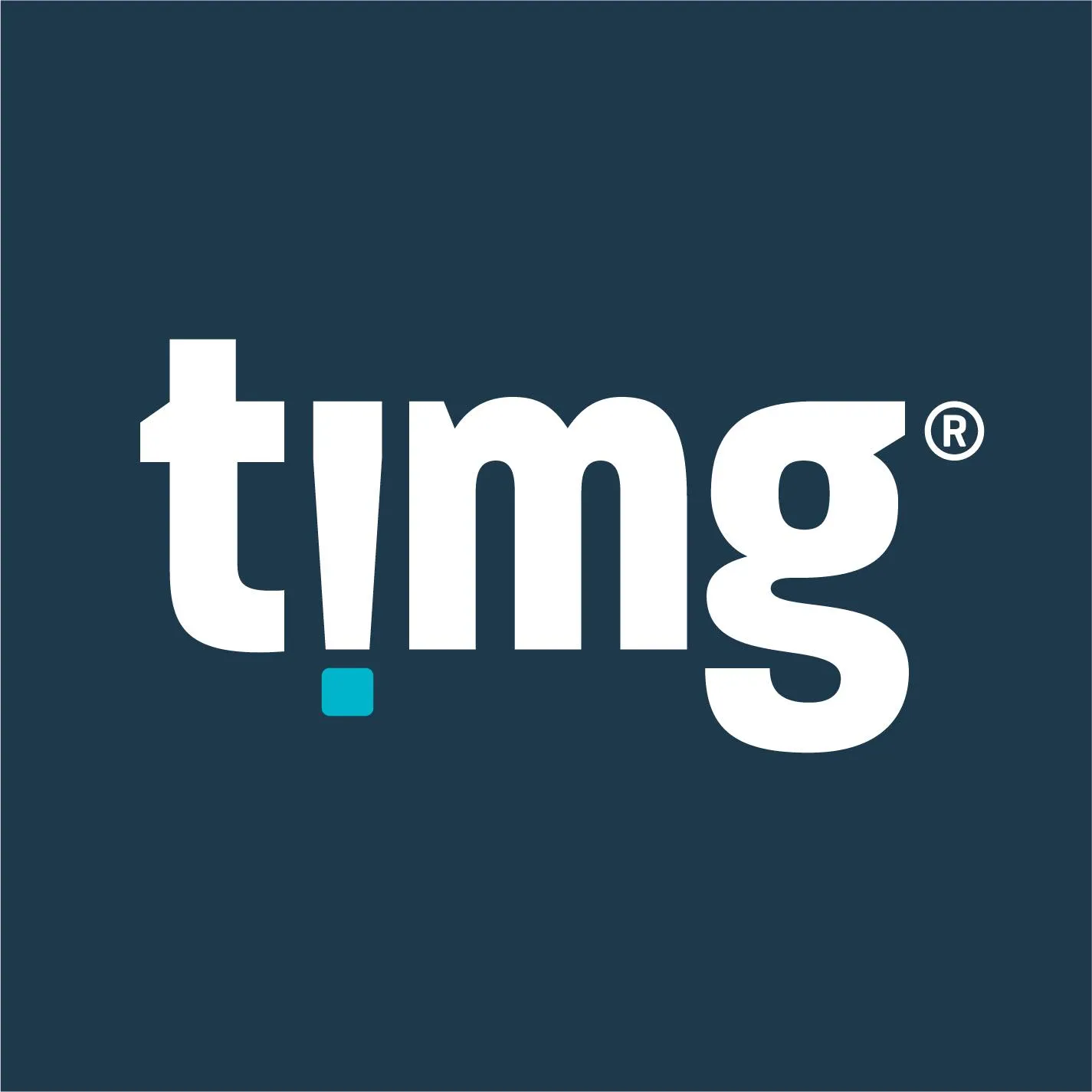 TIMG logo