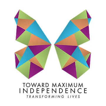 TMI Logo