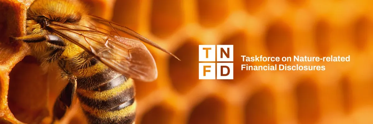 Tnfd Logo & Brand Assets (SVG, PNG and vector) - Brandfetch