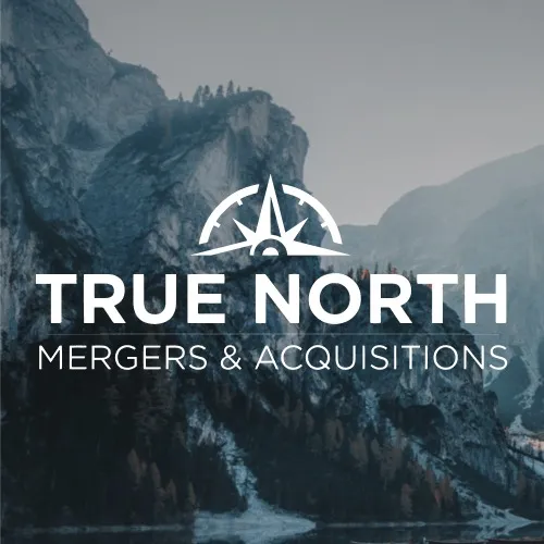 True North Mergers & Acquisitions logo