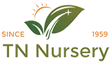 TN Nursery logo