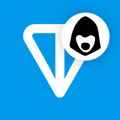 Hashkey x TON Accelerator logo