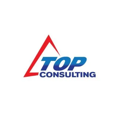 TOP Consulting, Inc logo