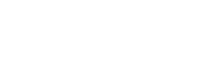 The Linux Foundation (US) light logo