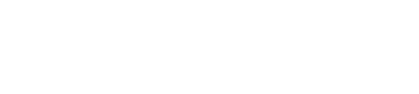 Transcom logo