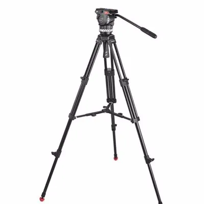 Transfilm