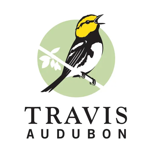 Yellow Warbler, LP logo