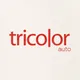 Tricolor Auto Group logo
