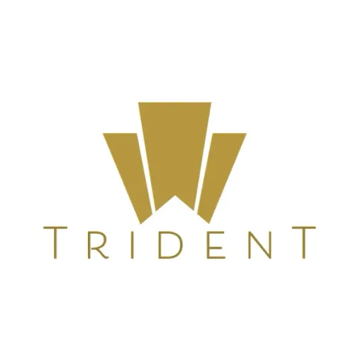 Trident Credit Partners LLC logo