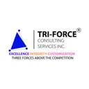 Tri-Force Consulting Services, Inc. logo