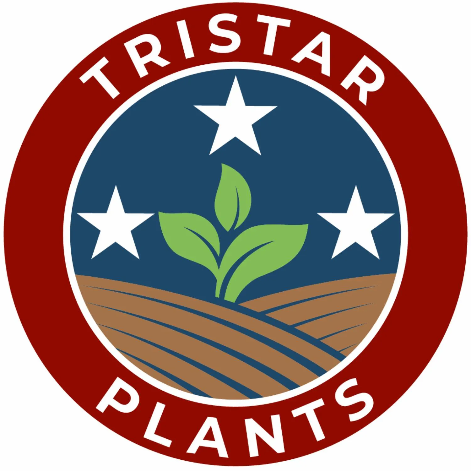 Tristarplants