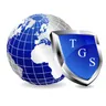 Triton Global Services, Inc. logo