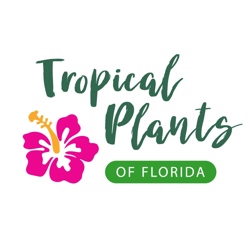 Tropicalplantsofflorida