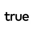 True Search-company-logo