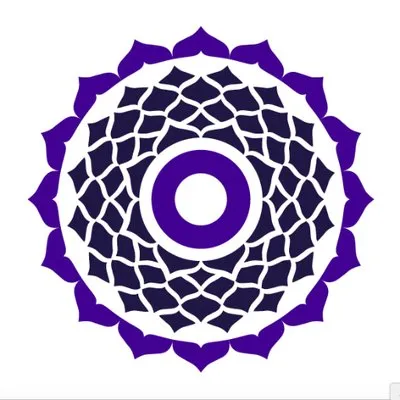 True Wealth Ventures logo
