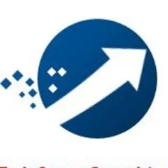 Tech Savvy Consulting logo