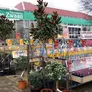 Logo Tuincentrum "De Zwaan"
