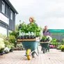 Logo Tuinplantenwinkel