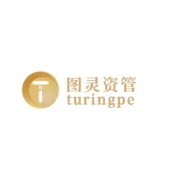 Turing Asset Management logo