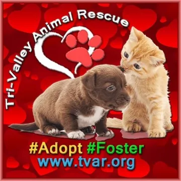 Tri-Valley Animal Rescue Logo