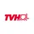 TVH Group logo