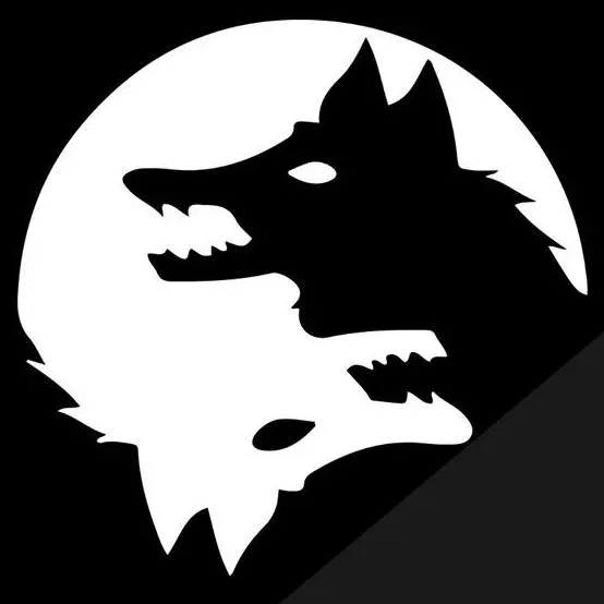 Twin Social Logo