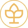 Logo Two Brothers Noordwijk Beach